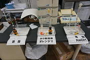DSC07497.JPG