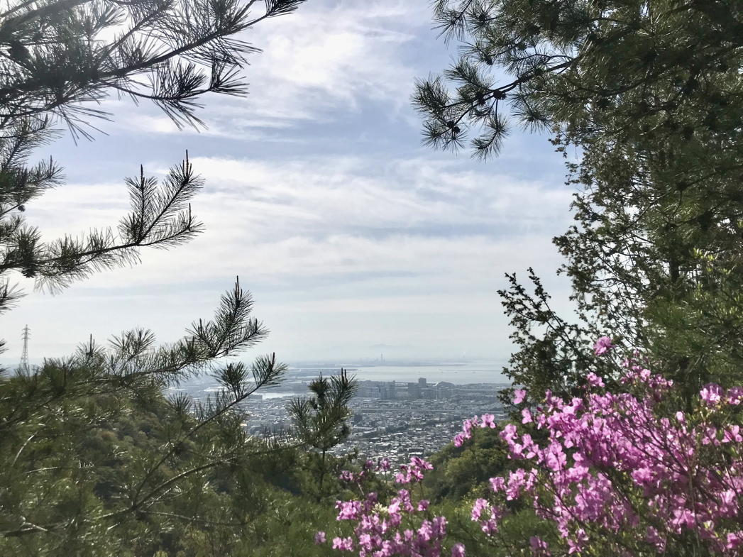 https://www.osaka-c.ed.jp/blog/senri/wandervogel-blog/%E5%85%AD%E7%94%B2%E5%B1%B122-04-17_08-52-44.jpeg