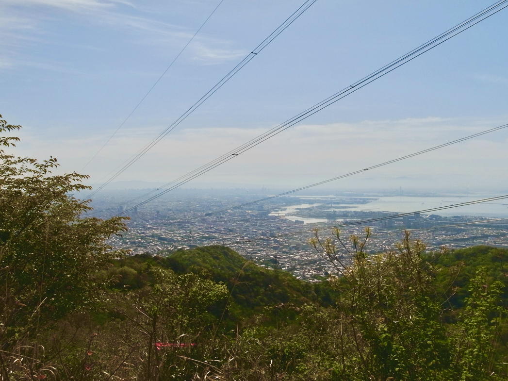六甲山22-03-17_09-23-33.jpeg