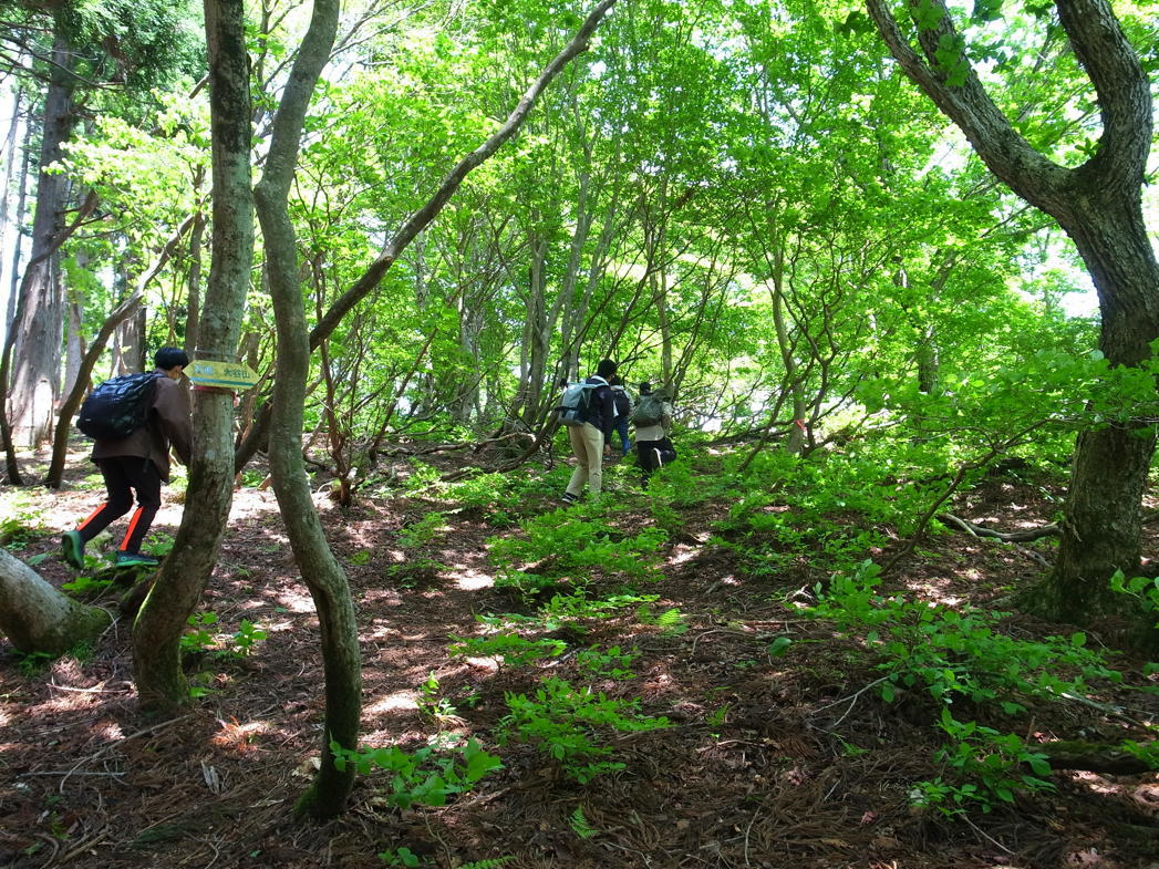 https://www.osaka-c.ed.jp/blog/senri/wandervogel-blog/b41893bcffdc4aaf1dd8c98692c262a3.jpeg