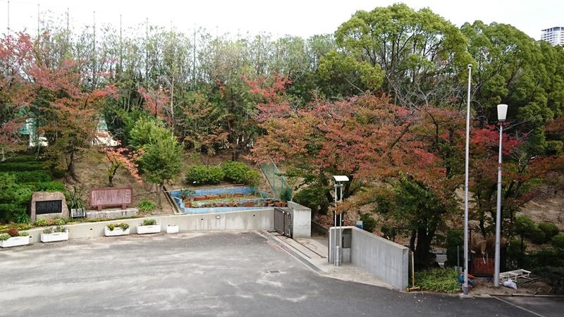 201029学園坂紅葉4.jpg