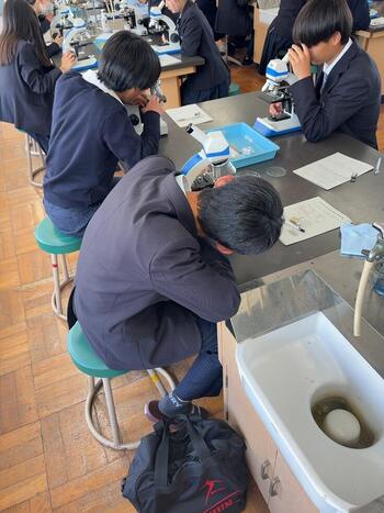 seiki3.jpg