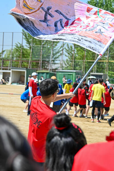 DSC_1217.JPG