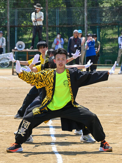 DSC_1377.JPG