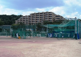 07252.jpg