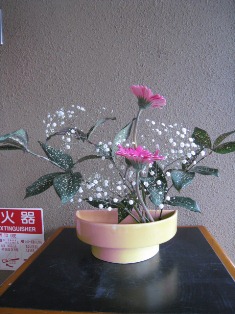 08050.jpg