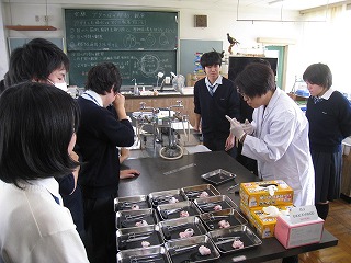 IMG_2439.jpg