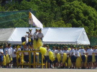 IMG_3544.jpg