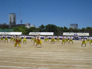 IMG_3590.jpg