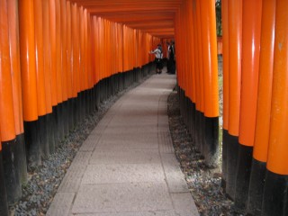 IMG_4200.jpg