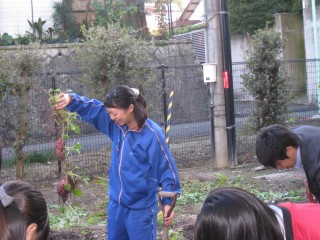 IMG_4456.jpg