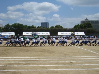IMG_5396.jpg