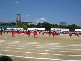 IMG_5425.jpg