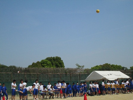 spo boll.jpg