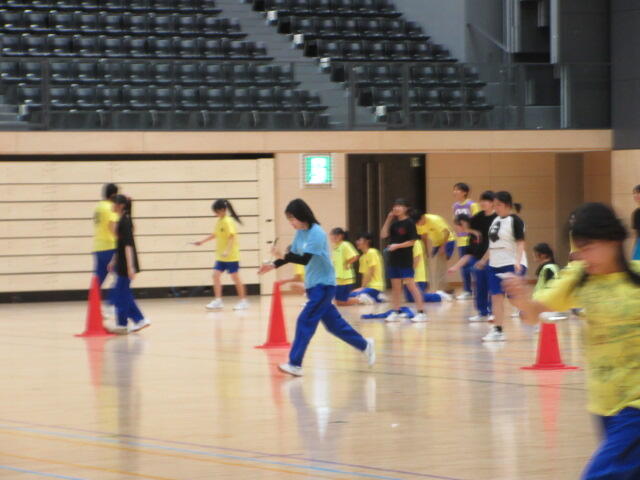 IMG_1274.JPG