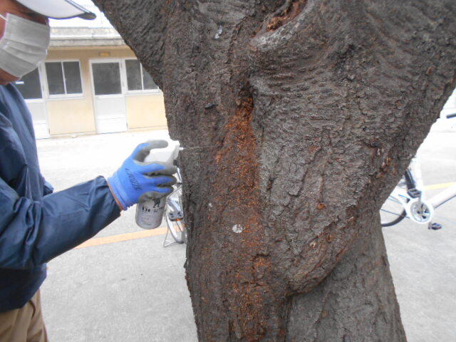 DSCN6079.JPG