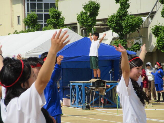 IMG_4763.JPG
