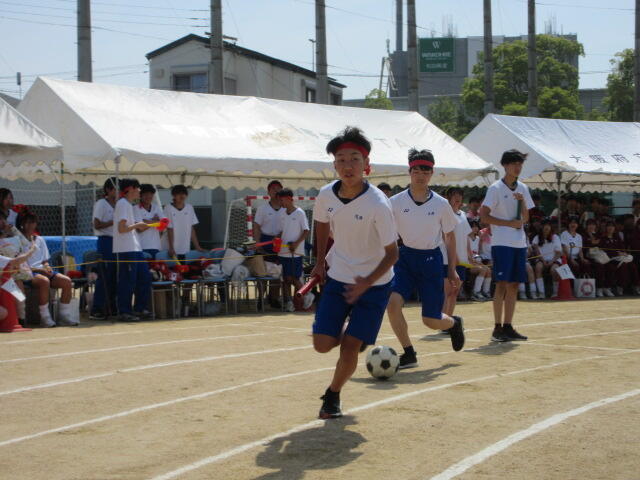 IMG_4771.JPG