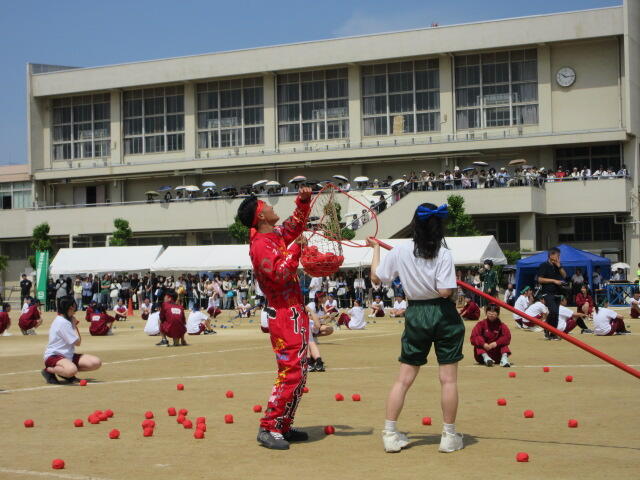 IMG_4865.JPG