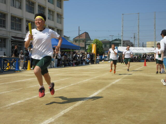 IMG_5462.JPG