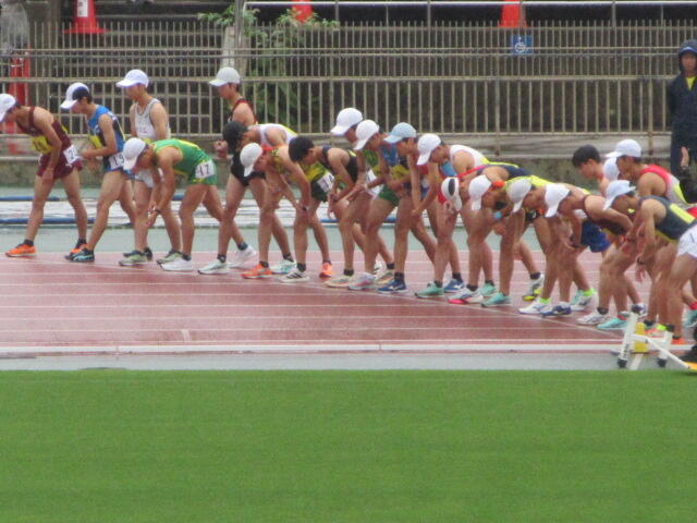 IMG_6331.JPG