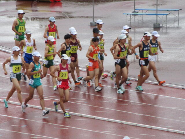 IMG_6335.JPG