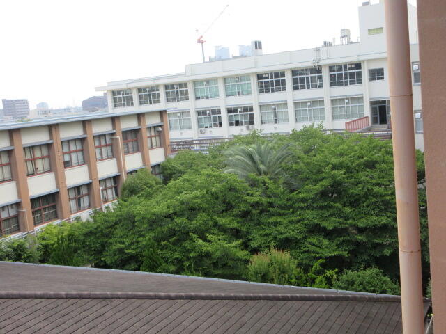 IMG_7097.JPG