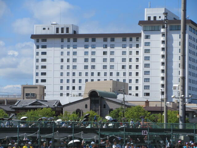 IMG_7555.JPG