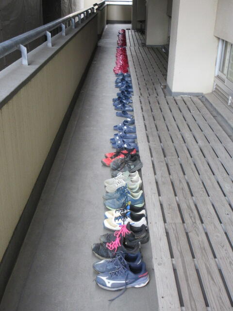 IMG_9952.JPG