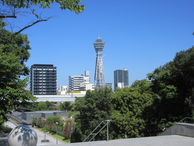 IMG_6317.JPG