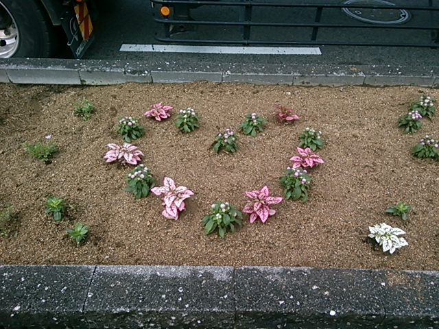 DSC_0104.JPG