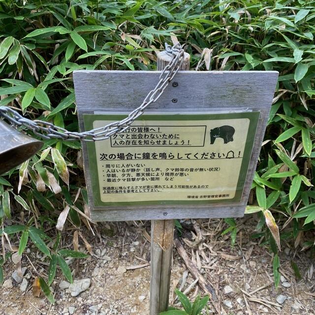 IMG_2581.jpeg