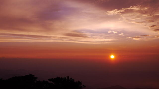 IMG_2583.jpeg