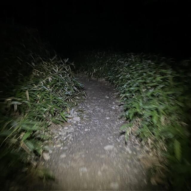 IMG_2627.jpeg