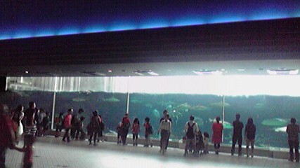 270702_2.JPG