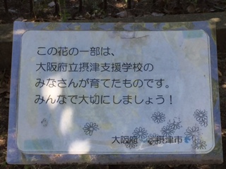 270714_2.JPG
