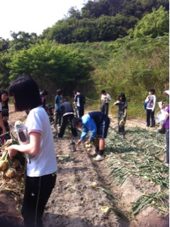 高2宿泊たまねぎ２.jpg