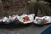DSC02993.JPG