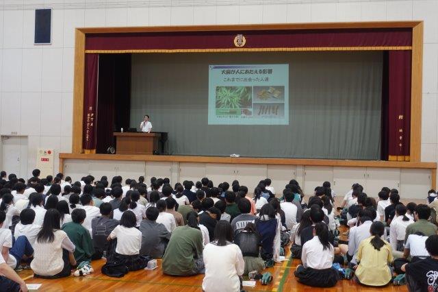 DSC08397.jpg