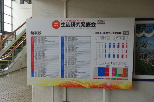 DSC08867.jpg