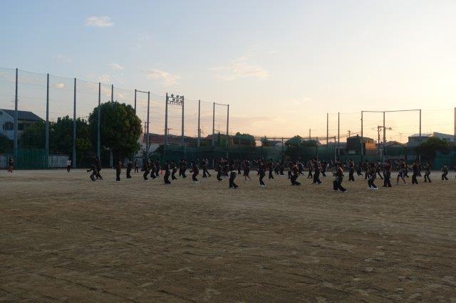 DSC09367.jpg