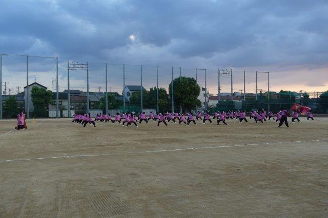 DSC09446.jpg