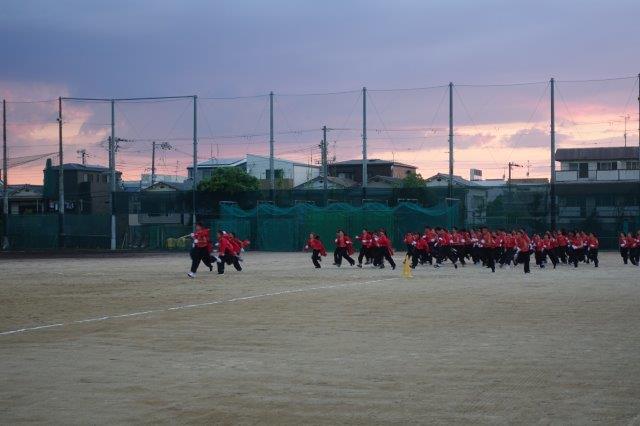 DSC09460.jpg
