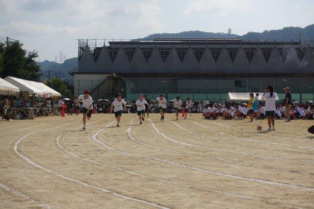 DSC09594.jpg