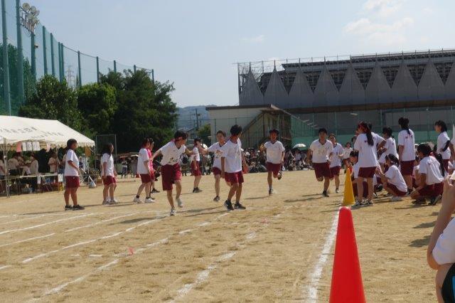 DSC09617.jpg