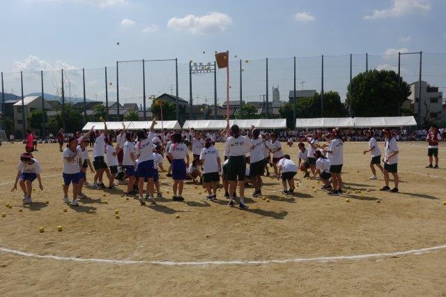 DSC09629.jpg
