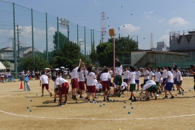 DSC09638.jpg