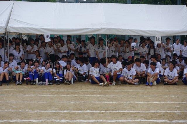 DSC09661.jpg