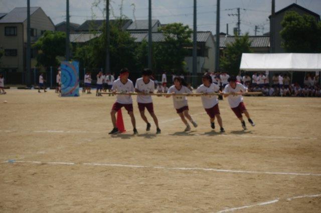 DSC09686.jpg