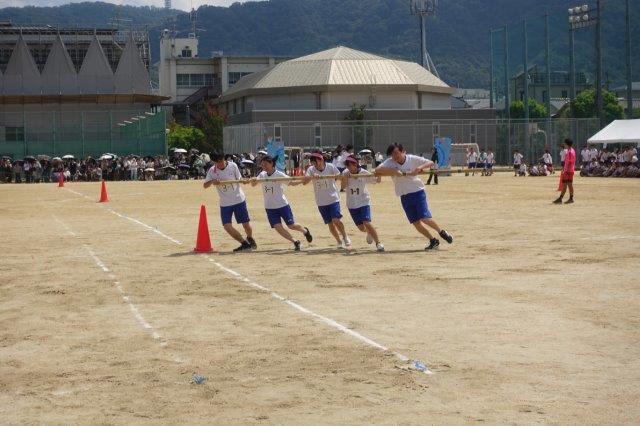 DSC09688.jpg